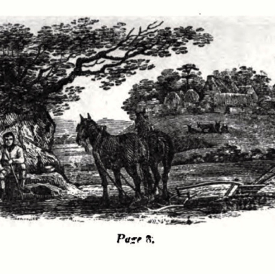 The Farmer's Boy
(1800)